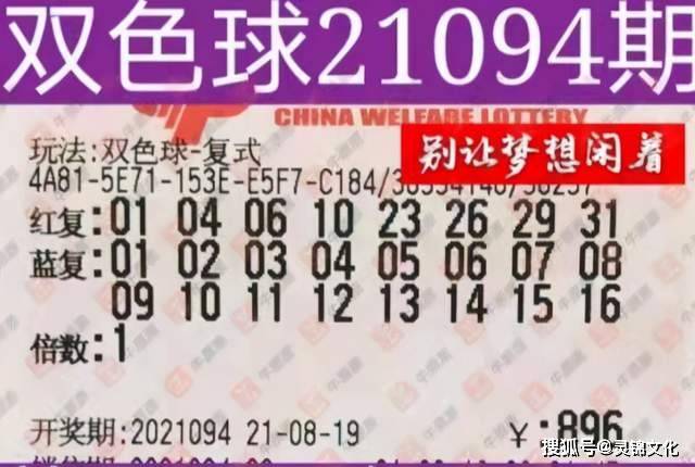 探索双色球2022141期的神秘与惊喜双色球2022141期开奖号码