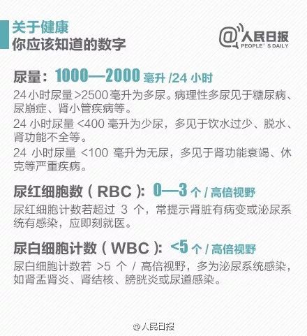 探索北京快3，数字背后的幸运与智慧北京快3开奖结果查询