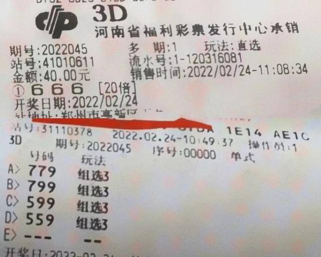 揭秘3D彩票字谜，解锁中奖密码的奇妙之旅彩票查询3d字谜总汇大全