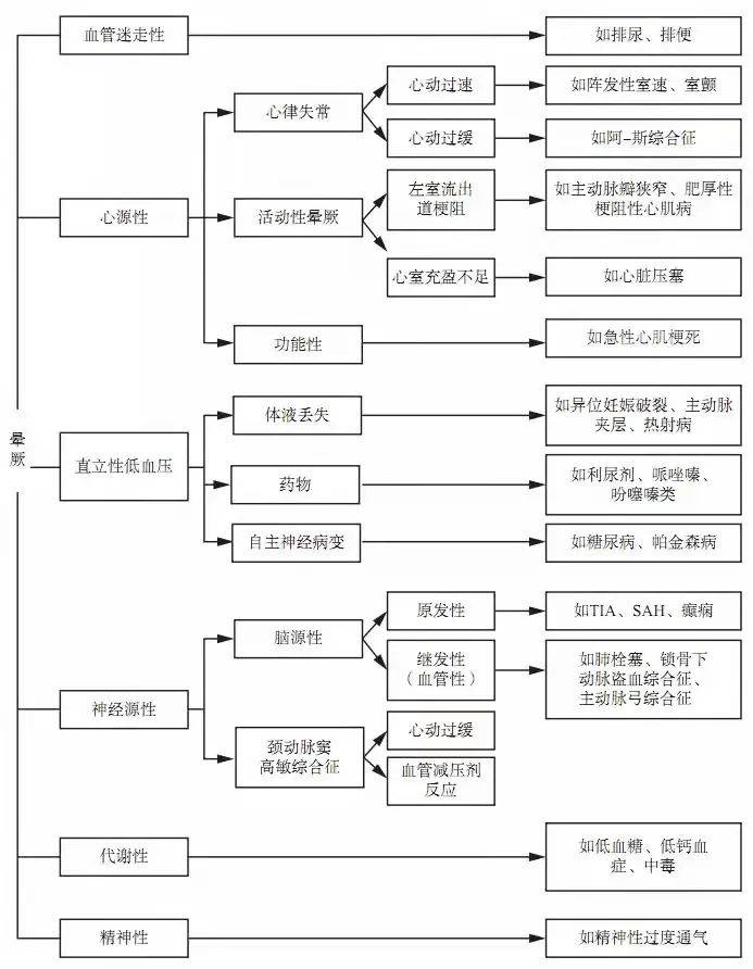 揭秘双色球，开机号与试机号背后的奥秘开机号和试机号双色球分析程远推荐红球绝杀