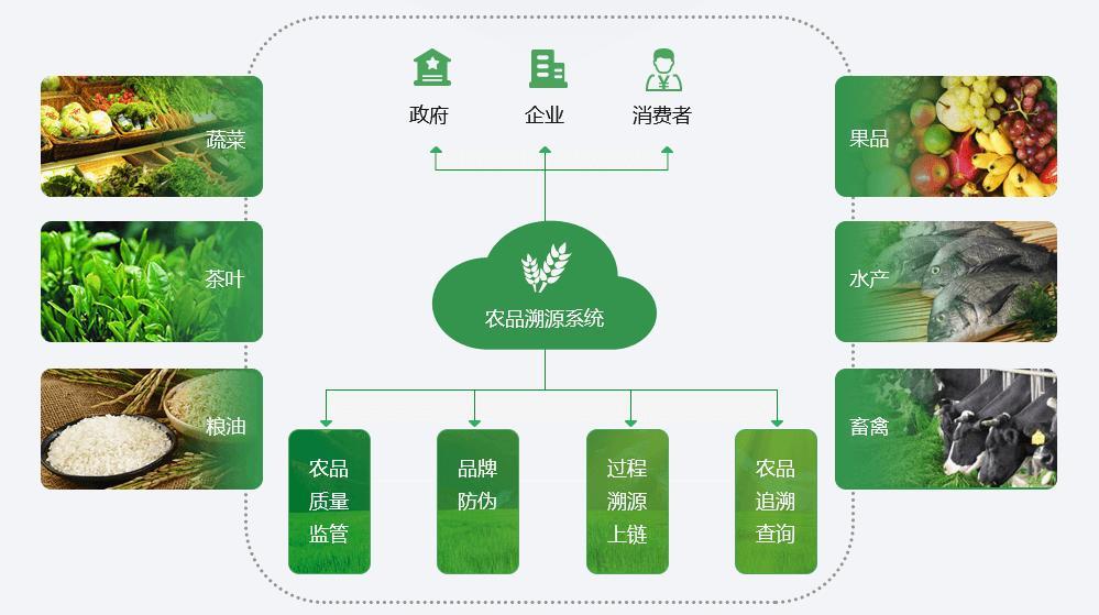 农药信息网app，现代农业的智慧之选农药信息网官网 中国