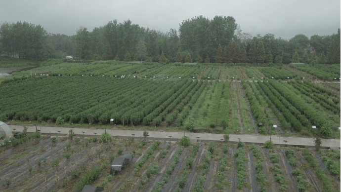 吉林省建设信息网，助力土建安装行业数字化转型的智慧引擎吉林省建设信息网土建安装资质查询