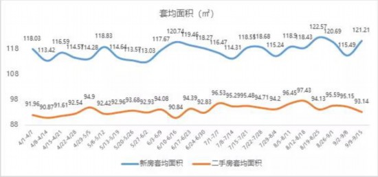 雨燕直播