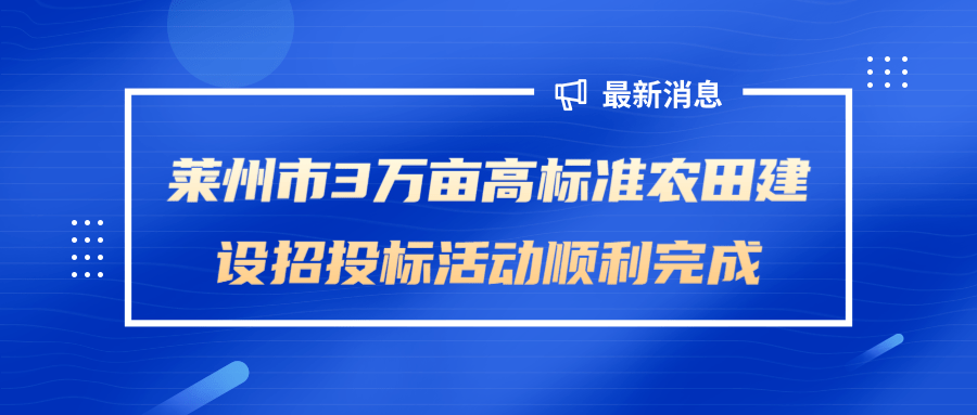 济南市招投标信息网，透明高效，助力城市发展新动力济南市招投标信息网官网