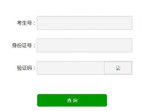 山东考试信息网官网登录入口，考生必备的考试信息指南山东考试信息网官网登录入口查询