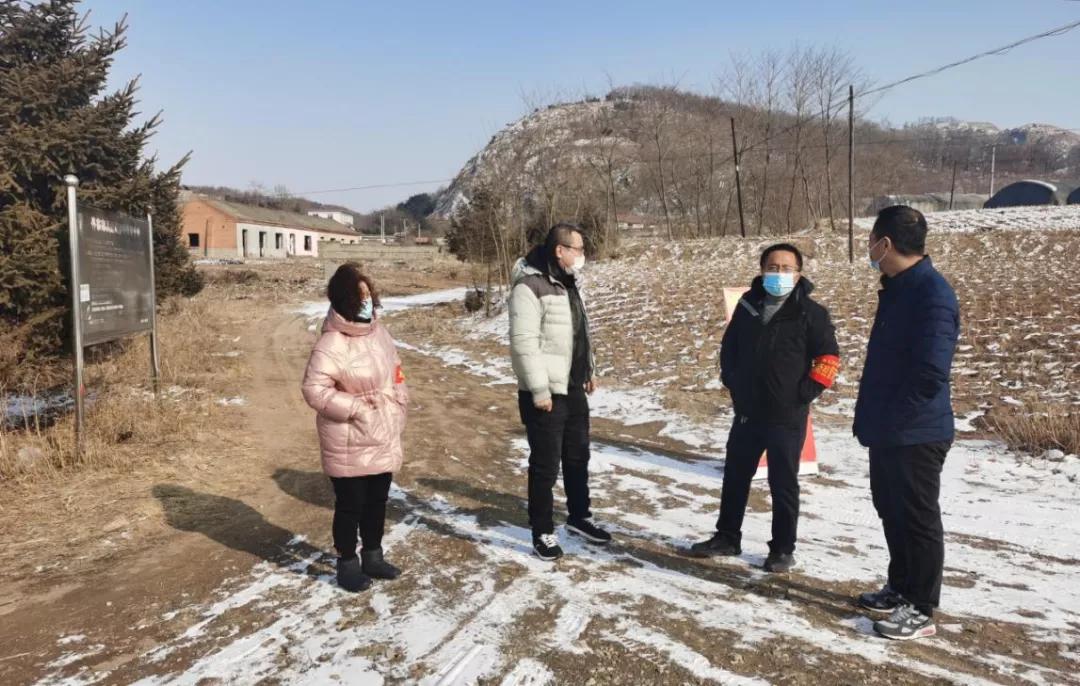 微网站在东港信息网中的创新应用与价值体现东港信息网微网站