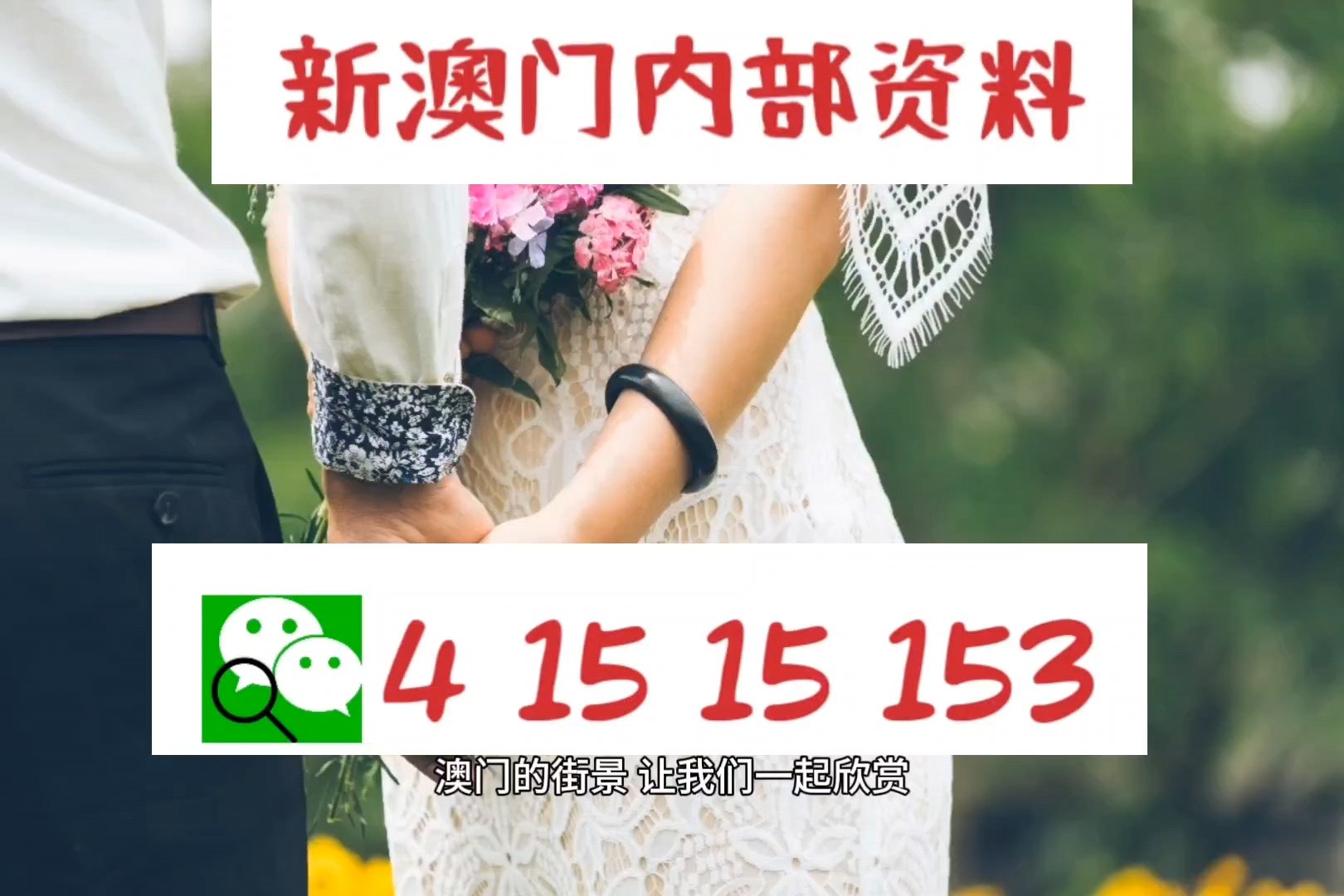 澳门精准资料，期期的精确预测与解读新澳精准正版免费大全