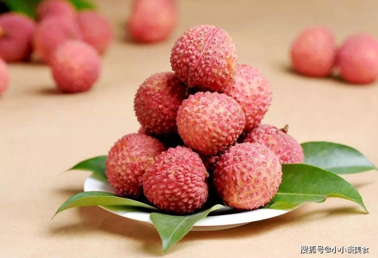 2019年免费资料大全，解锁知识宝藏的钥匙2o21年免费资料大全