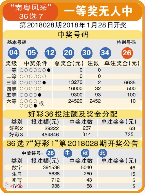 今期新澳门开奖结果记录，揭秘彩票背后的数字游戏今期新澳门开奖结果记录新澳2024