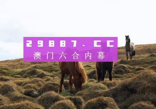 澳门新开奖记录，今日揭晓的幸运时刻新澳门开奖记录查询今天开什么