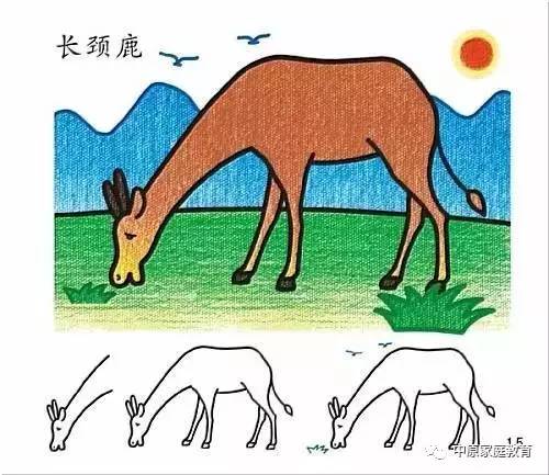 探索正版四不像吧,数字时代的版权迷思与文化交融正版四不像吧今晚开什么号码