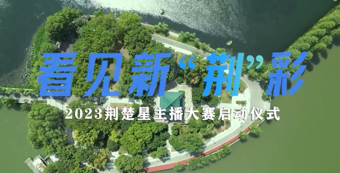 澳门新彩，探索最快开奖结果的奥秘新澳门最快开奖结果开奖直播