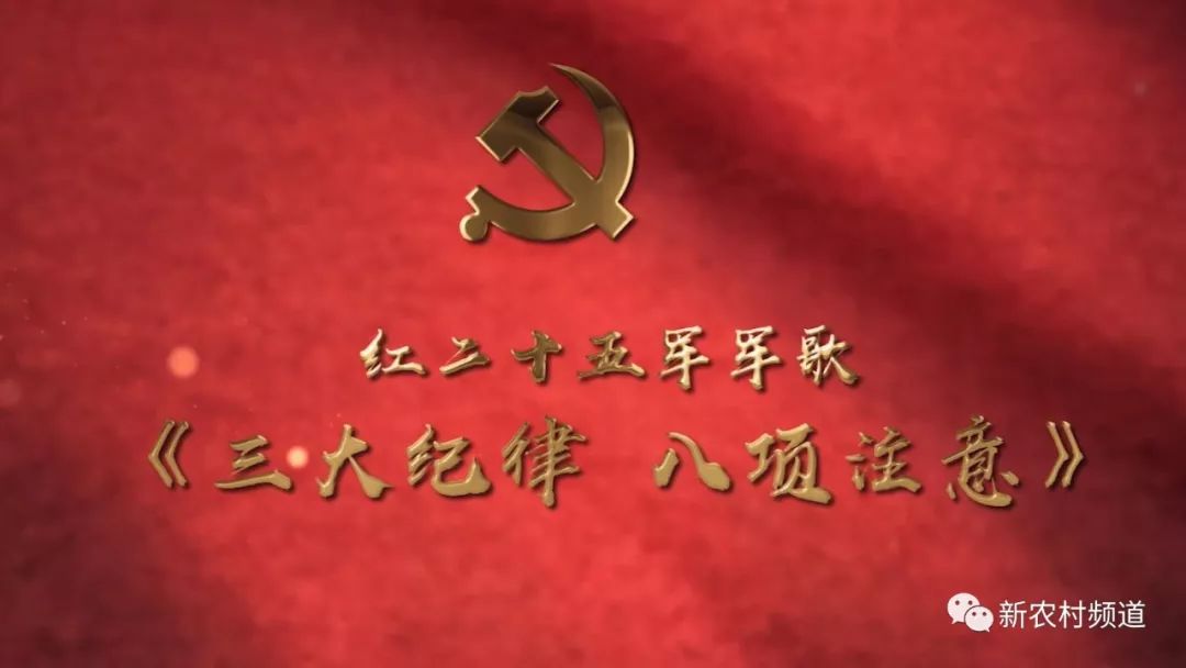 感悟三大纪律八项注意，新时代下的军人风范与道德准则三大纪律八项注意感悟50字