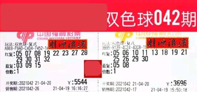 204期双色球开奖号码结果揭晓,幸运与惊喜的碰撞双色球2004期开奖号码是多少