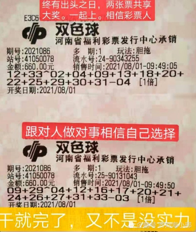 探索双色球胆拖5+8策略，解锁中奖新境界双色球胆拖5拖8中胆4个拖1个多少钱