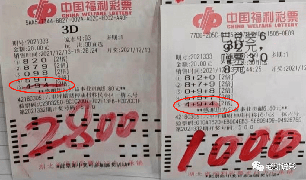 试机号、开机号的秘密，揭秘今日3D彩票的查询之道试机号开机号3d今天查询最新
