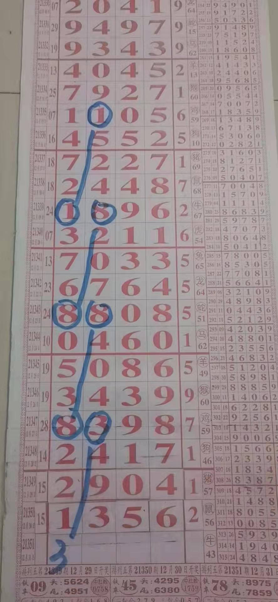 31选7福建省大小走势图，揭秘彩票背后的数字游戏与理性思考31选7福建省走势图综合版