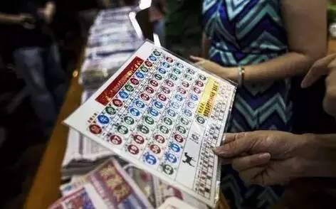 2043年香港六合彩,揭秘开奖结果与背后的故事香港2014开奖日期表