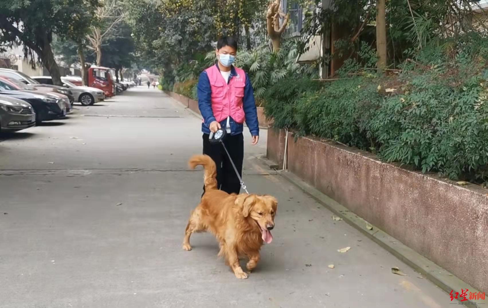兼职猫，解锁灵活就业的智慧平台兼职猫官网