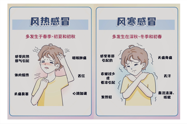 风寒感冒与风热感冒，辨识症状，科学应对风寒感冒和风热感冒的区别和症状有哪些