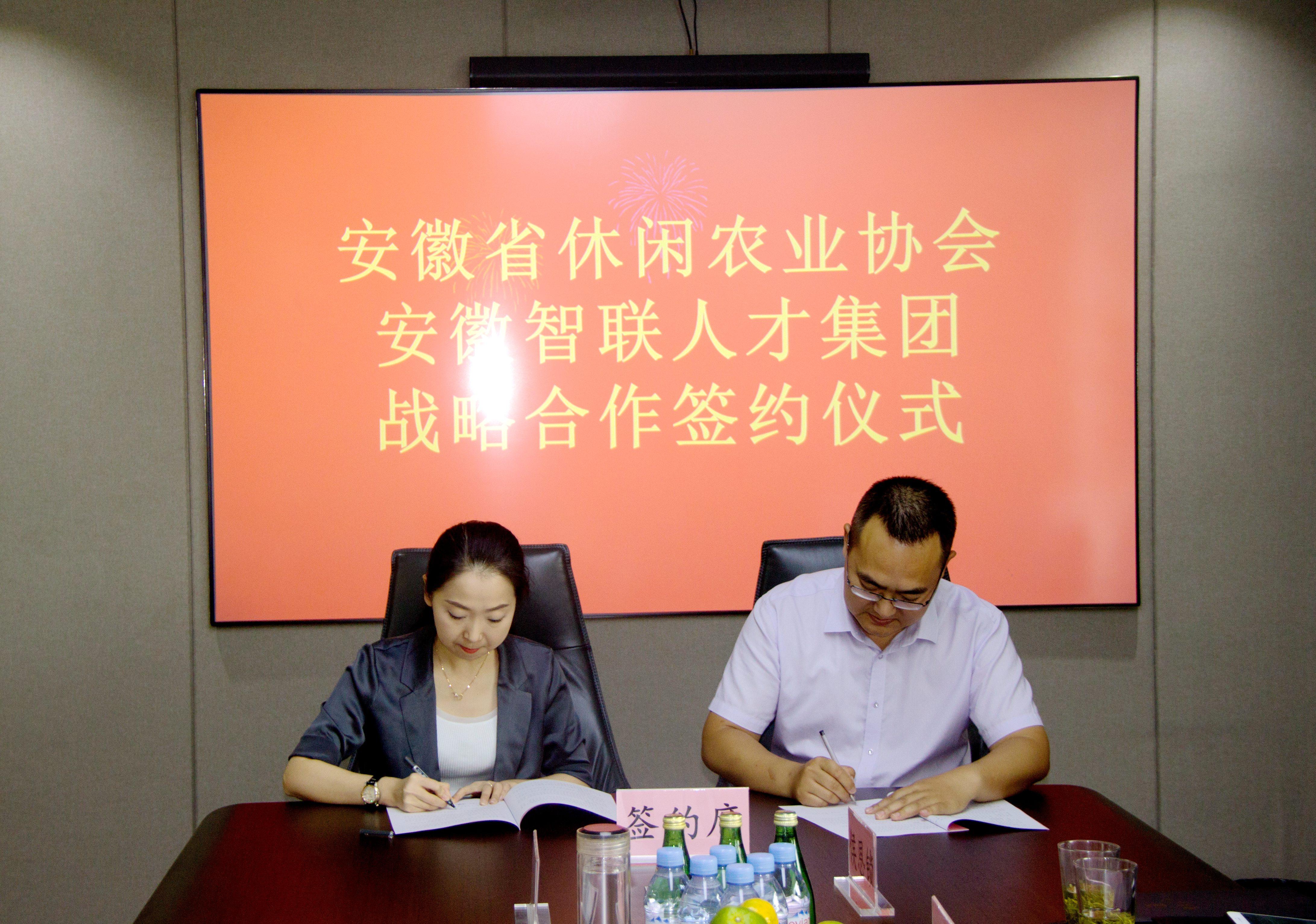 智联人才网，解锁职场新机遇的智慧之选智联人才网招聘信息最新