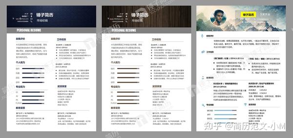 免费个人简历模板，打造求职成功的第一步免费个人简历模板电子版可填写