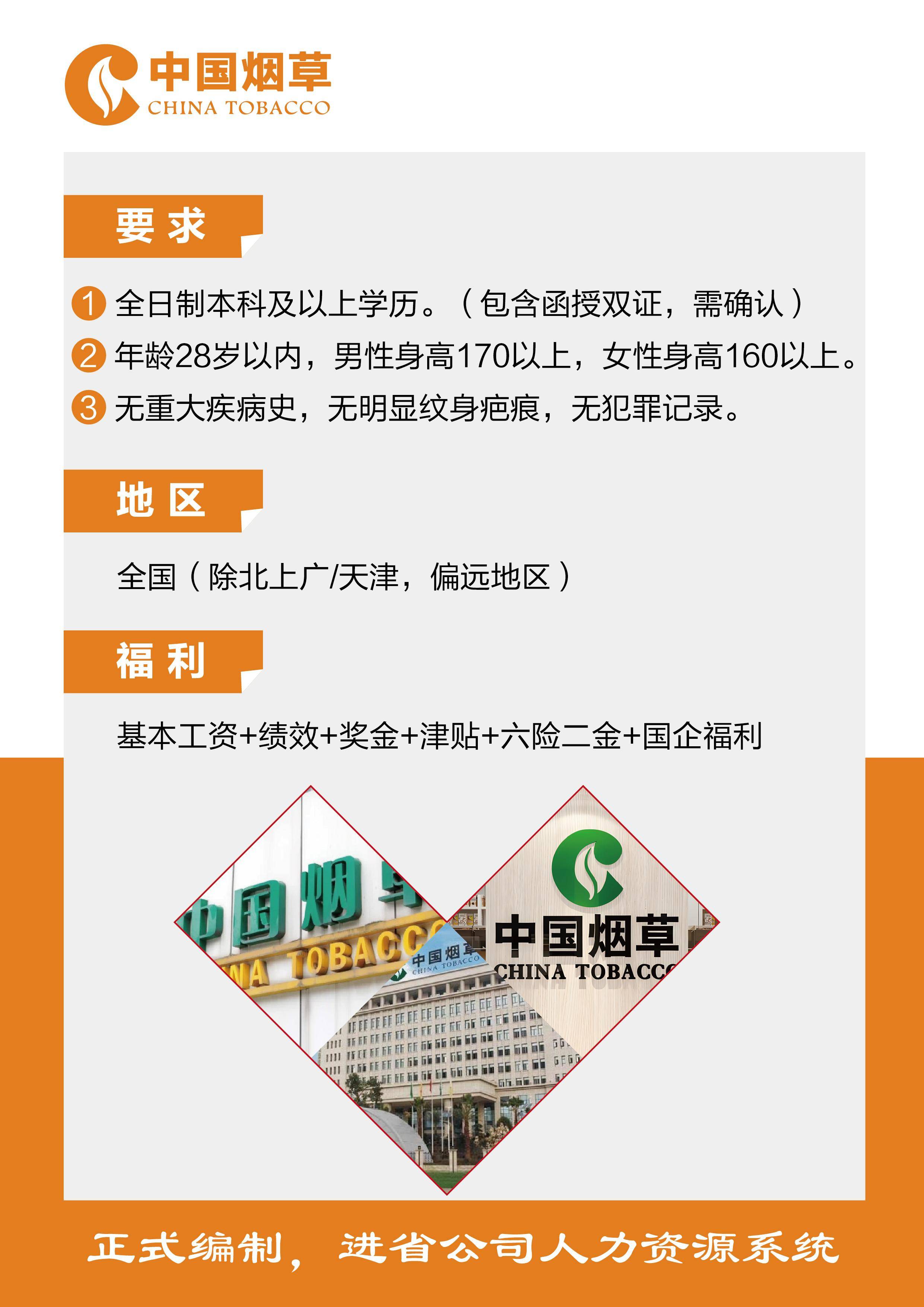 2048，中国烟草局—未来精英的启航之地中国烟草局2024校招什么专业