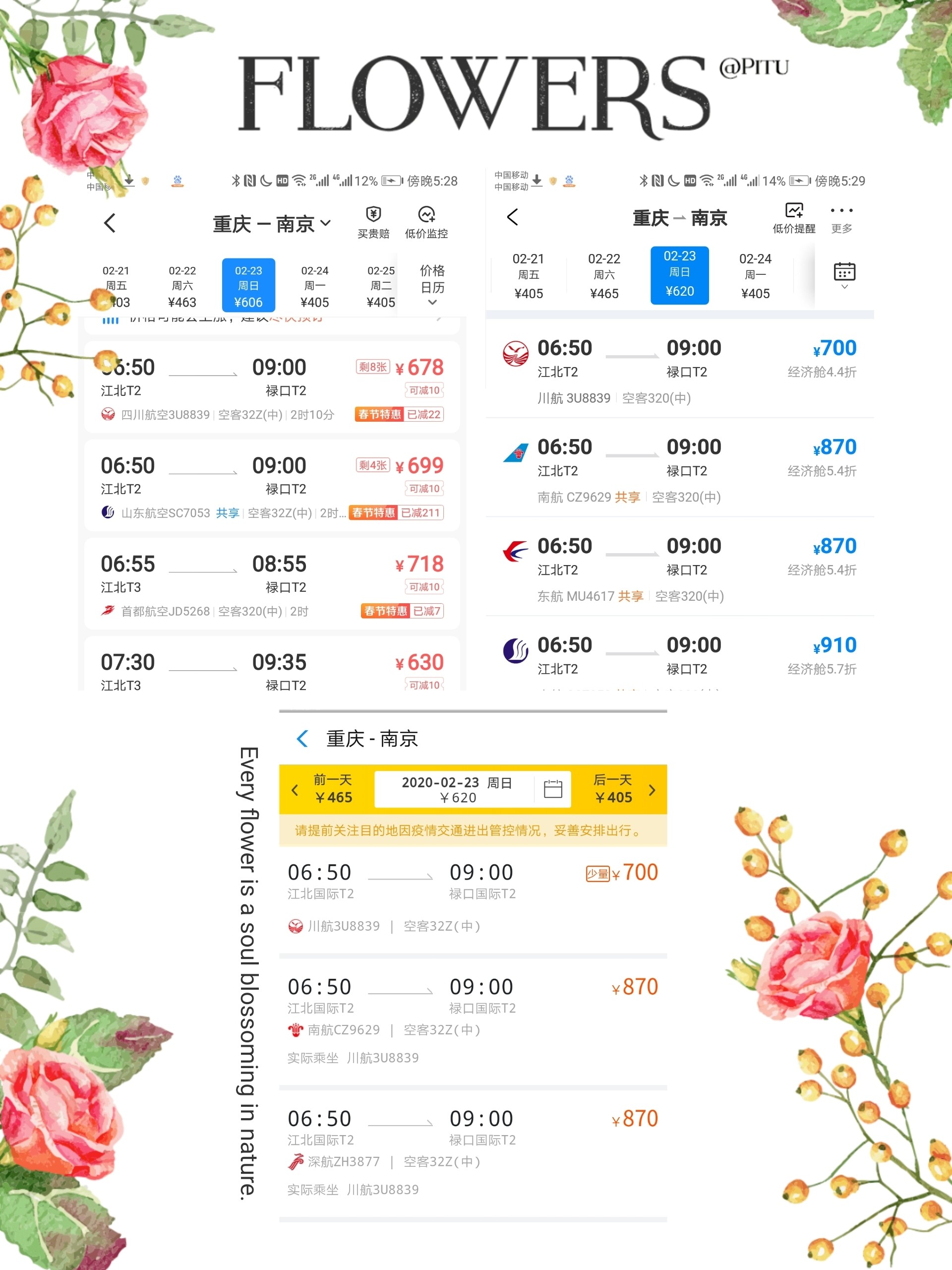 如何在众多平台中挑选最便宜的机票，实用攻略与省钱技巧哪个网站机票哪里订最便宜
