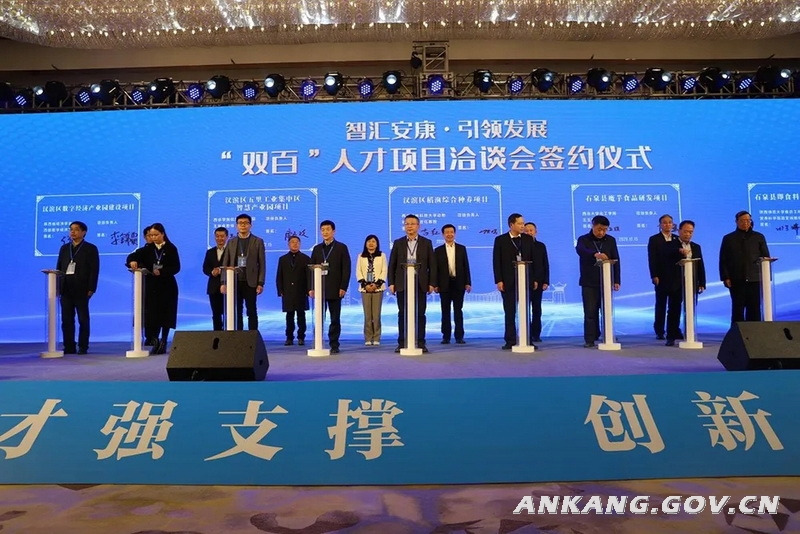 官方人才网，打造高效、精准的人才招聘与求职平台东阳人才网-东阳地区唯一官方人才网