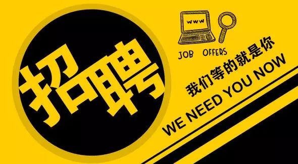 人才招聘网站全解析，求职者与企业的双赢平台高级人才招聘网站有哪些