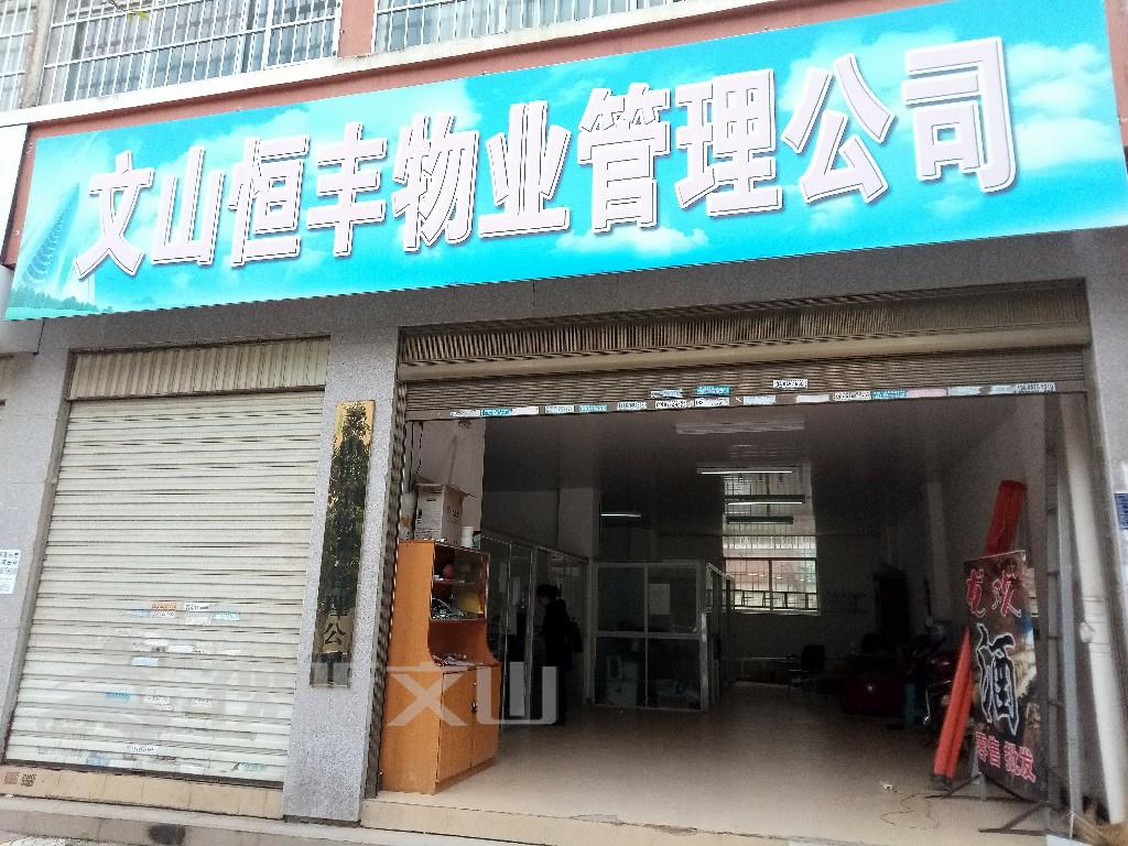 文山电力—绿色能源的守护者与革新先锋文山电力重组后更名