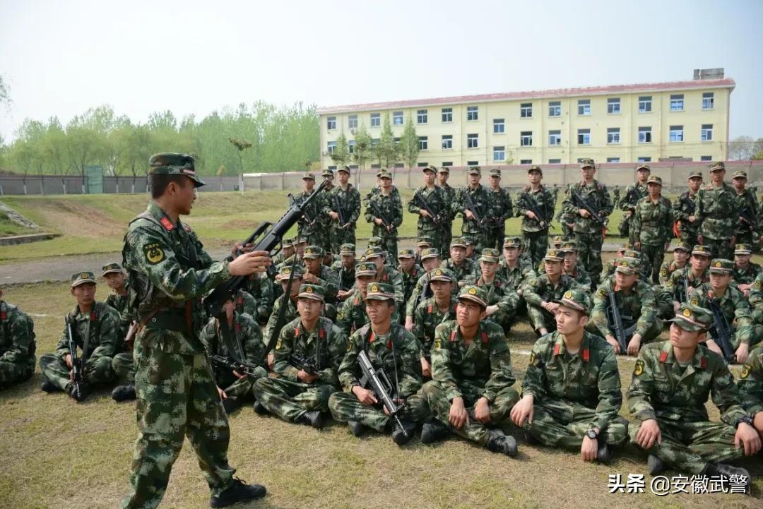 安徽人才市场招聘网最新招聘信息深度解析，把握机遇，共创未来安徽省人力资源招聘网