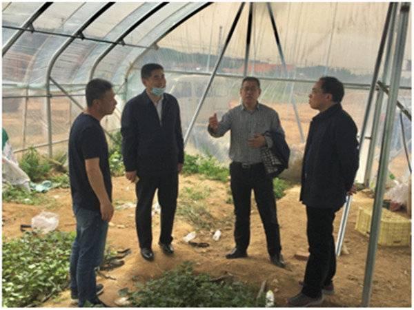 烟台市人才市场招聘信息网，助力企业与人才的精准对接烟台人才市场招聘官网